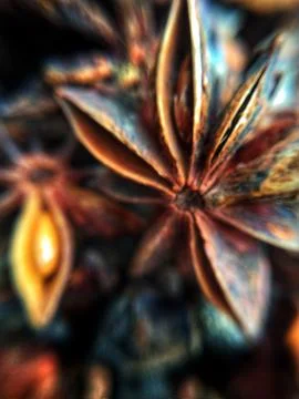 Star Anise Stock Photos