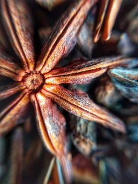 Star Anise Stock Photos