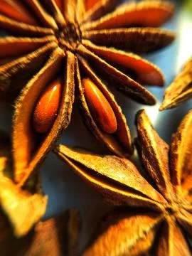 Star Anise Stock Photos