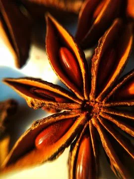 Star Anise Stock Photos