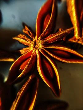 Star Anise Stock Photos