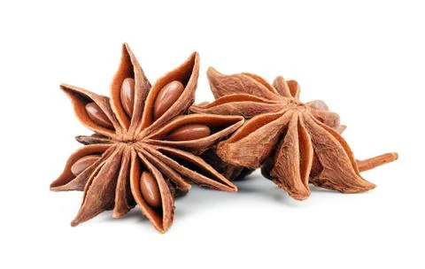 Star anise spice fruits and seeds isolated on white background closeup Stock Photos