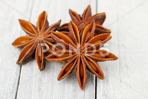 Star anise spice Stock Photos