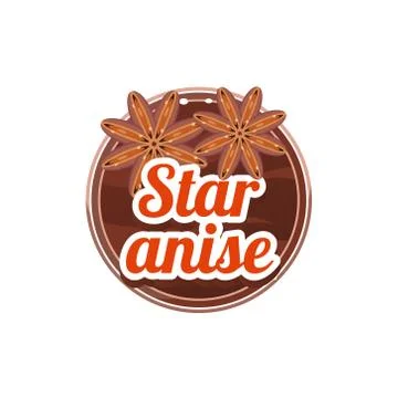 Star Anise Spice. Vector Illustration Stock Illustration