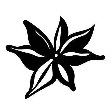 Star anise spice vector illustration isolated on white background - 1 Stock Illustration