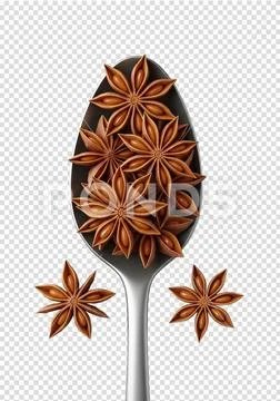 Star anise spices on a spoon culinary ingredient closeup Modello PSD