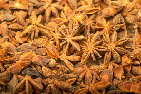 Star anise is the surface texture. Close up. Stock Photos