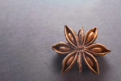 A star of anise tree on the grey background. Stock Photos