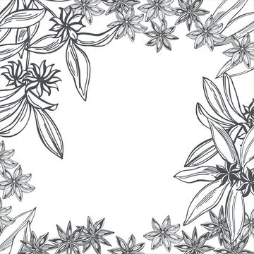 Star anise. Vector background. Illustrazione stock