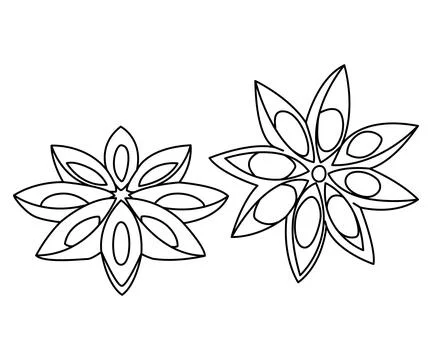 Star anise on white background. Culinary ingredient for baking and drinks Stock Illustration