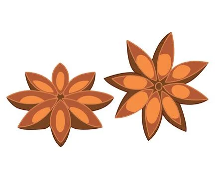 Star anise on white background. Culinary ingredient for baking and drinks Stock Illustration