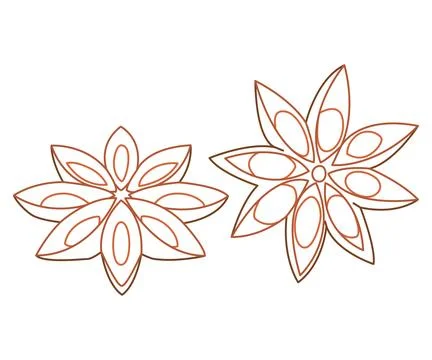 Star anise on white background. Culinary ingredient for baking and drinks Stock Illustration