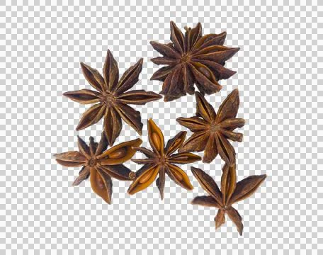 Star anise without background Stock Photos
