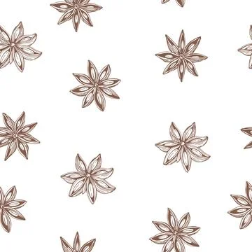 Star anise.Vector  pattern. Illustrazione stock