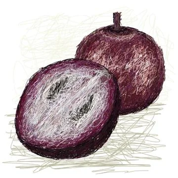 Star apple cross section. Stock Illustration