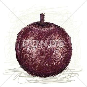 Star apple Stock Illustration
