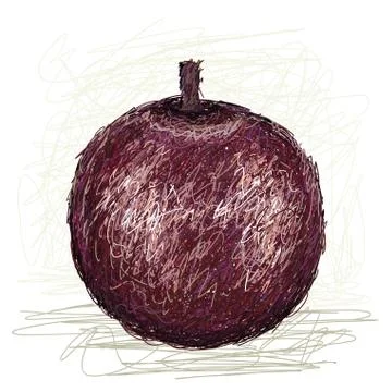 Star apple Stock Illustration