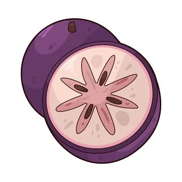 Star Apple illustration Stock Illustration