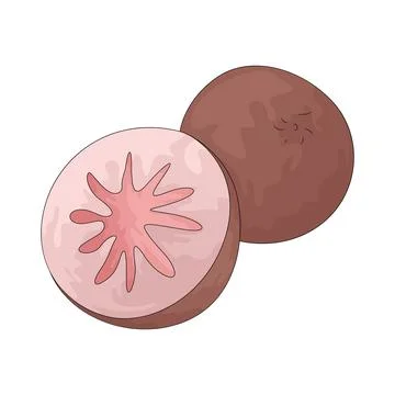 Star Apple illustration Stock Illustration