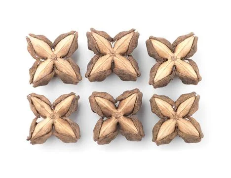 Star Bean Inca isolate on white background Stock Photos