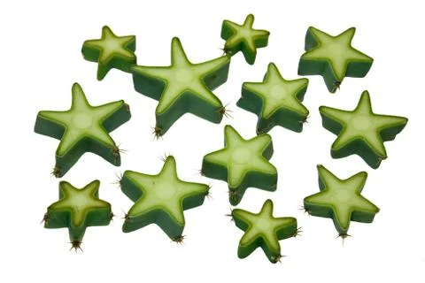 Star of cactus Stock Photos