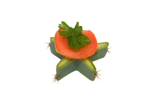 Star of cactus Stock Photos