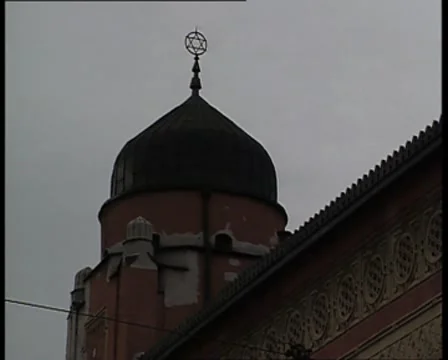 Star of David Vidéo 8764380