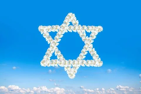 Star devid 写真素材