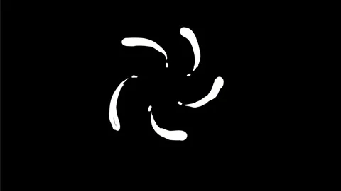 Star Exploding Imploding 2D Animation 4K Stock Footage 270649380