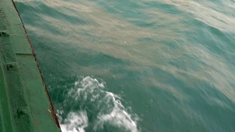 Star ferry 動画素材 109070610