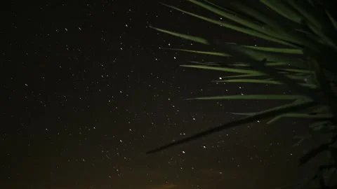 Star-Filled Desert Sky Time-lapse Cactus Vast Night Sky Hyper-lapse Stock Footage 243386904