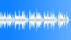 Star Filled Sky Stock Music