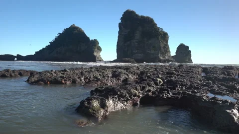 Star Fish amongst the rocks on the West Coast of New Zealand's South Island Stock Footage 135381012