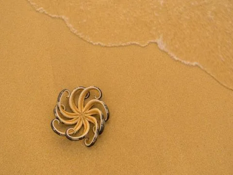 Star Fish on the Beach Stock Photos