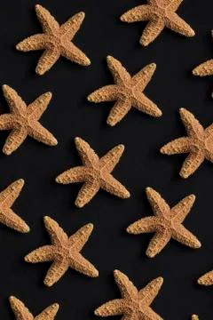 Star fish pattern Stock Photos