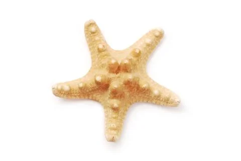 Star fish Stock Photos