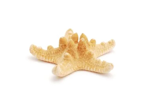 Star fish Stock Photos
