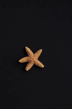 Star fish Stock Photos