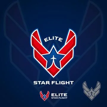 Star Flight Logo Stock Illustration