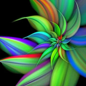 Star flower Stock Illustration