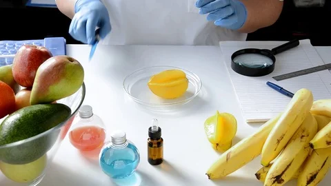 Star fruit is carefully being inspected Video stock 69996315