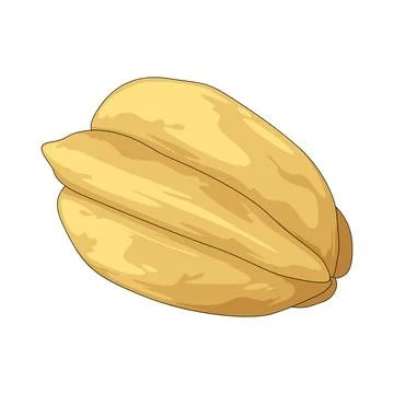 Star fruit illustration Stock Illustration