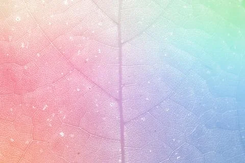 Star gooseberry leaf texture macro background Foto stock