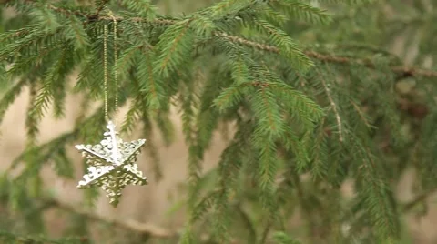 Star hanging in christmas tree (panning) Stock Footage 44220328