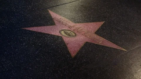 STAR on Hollywood Bulevard Stock Footage 101973975