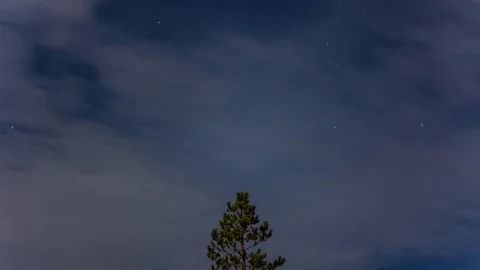 Star Lapse With Pine Tip blue Night Sky Time Lapse, Timelapse, Time-Lapse, 4K Stock Footage 129354875