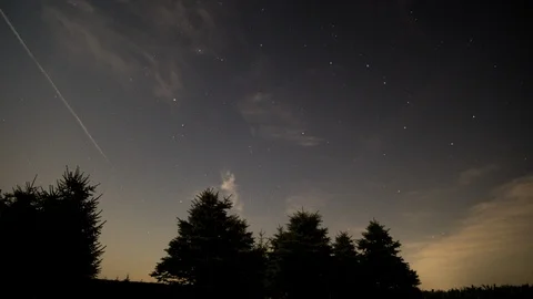 Star laspe timelapse at Night with Pine Trees in the foreground Stock Footage 86072252