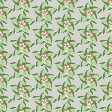 Star leaf Stock Illustration