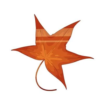 Star leaf illustration 스톡 일러스트