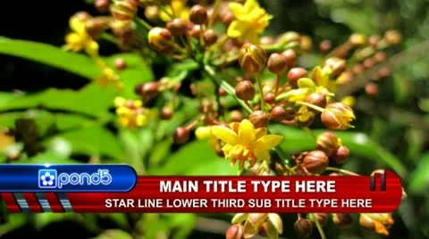 Star Line Lower Third.zip Stock After Effects